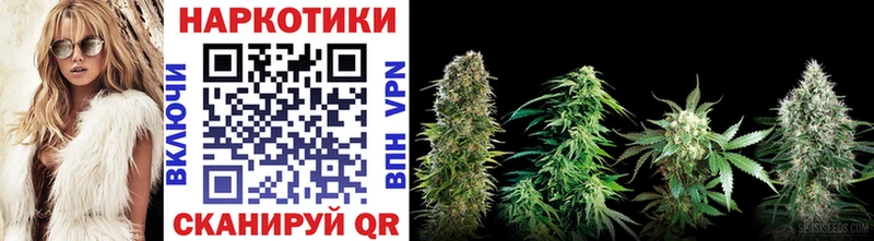 Купить закладку Асино COCAIN  Амфетамин  Меф мяу мяу  ГАШ  Бошки Шишки  Alpha PVP 