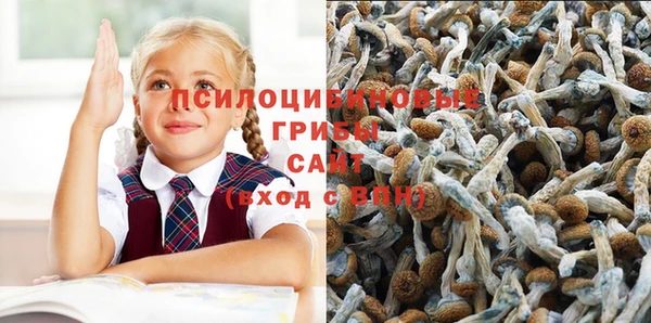 a pvp Алзамай