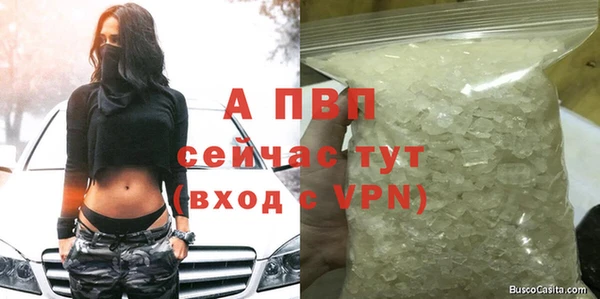 a pvp Алзамай
