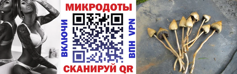 Псилоцибиновые грибы ЛСД  Асино 
